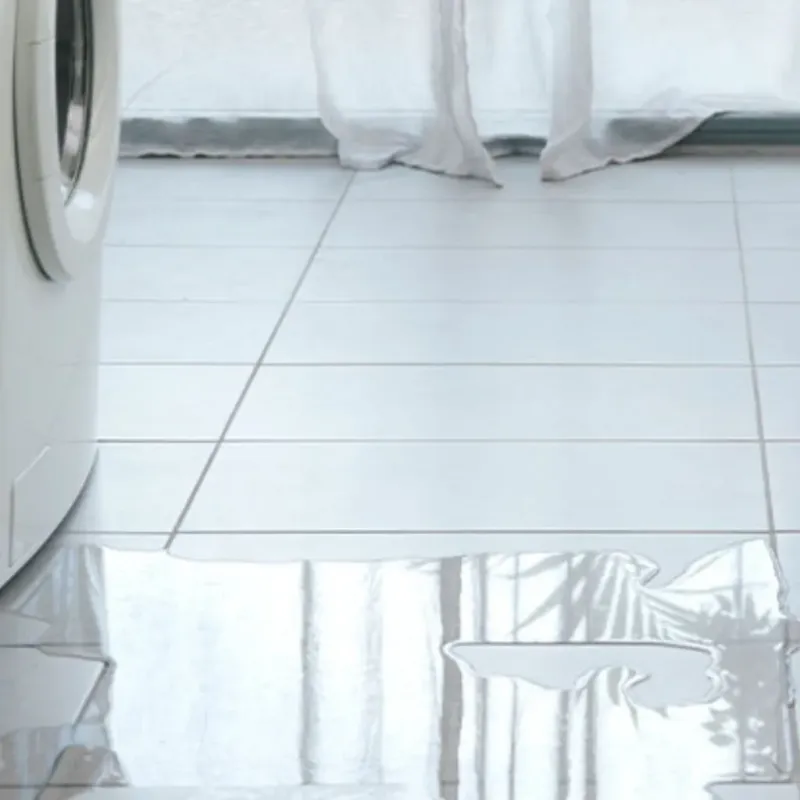 Appliance Leak Cleanup in Cordova, NC