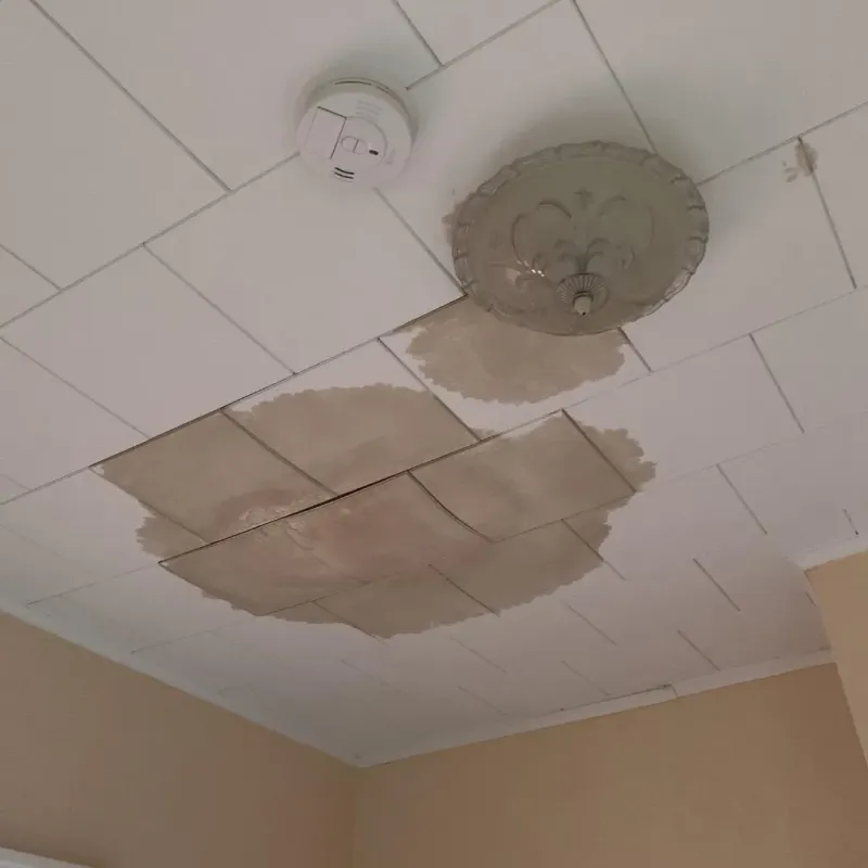 Ceiling Water Damage Repair in Cordova, NC