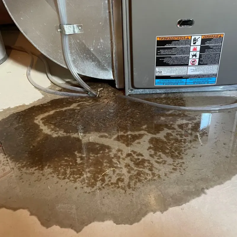 Pipe Burst and Leak Restoration in Cordova, NC