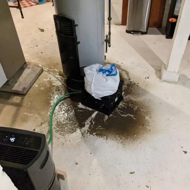 Sewage Backup Cleanup Service in Cordova, NC